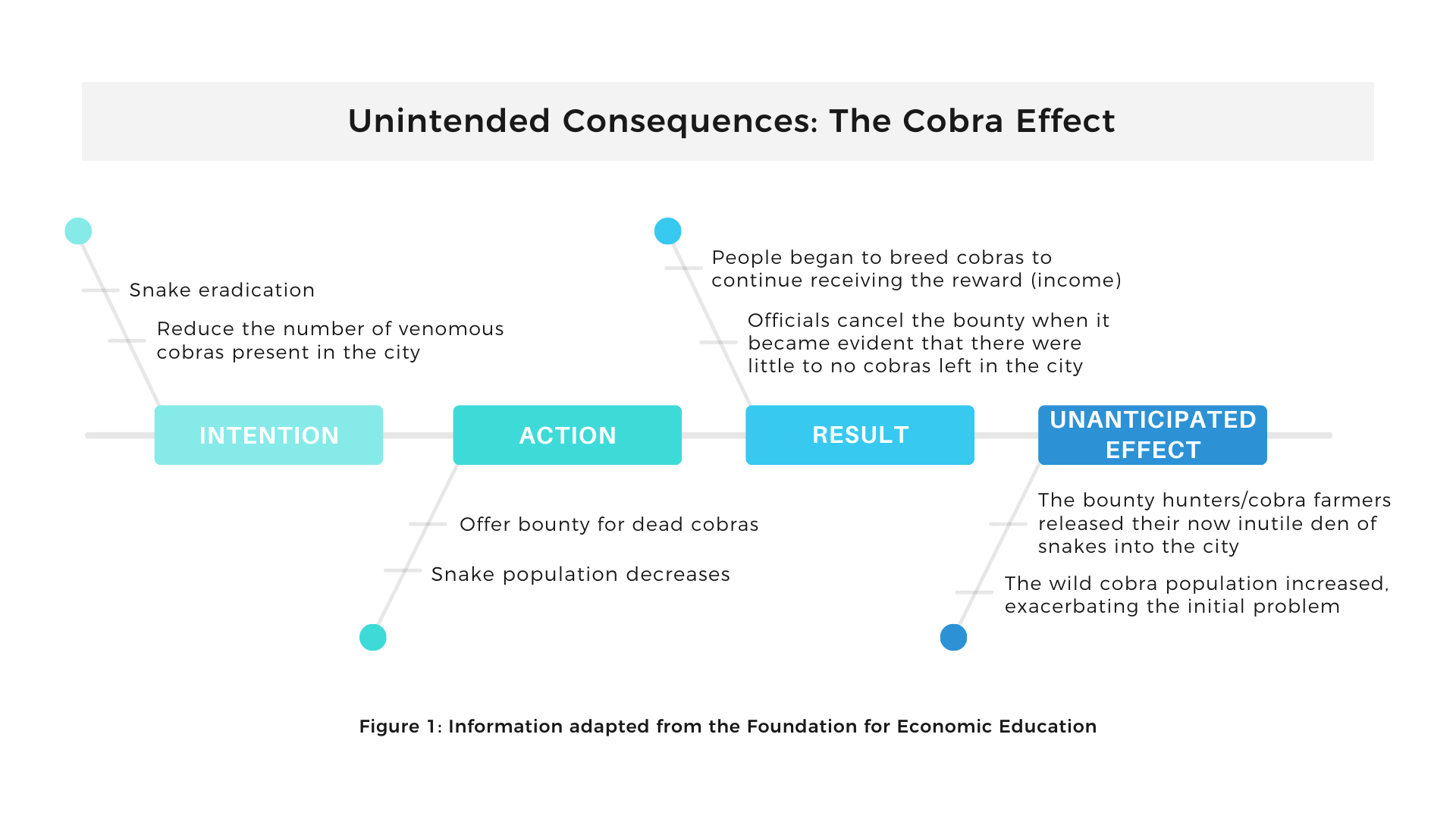 Figure 1: Cobra Effect Diagram